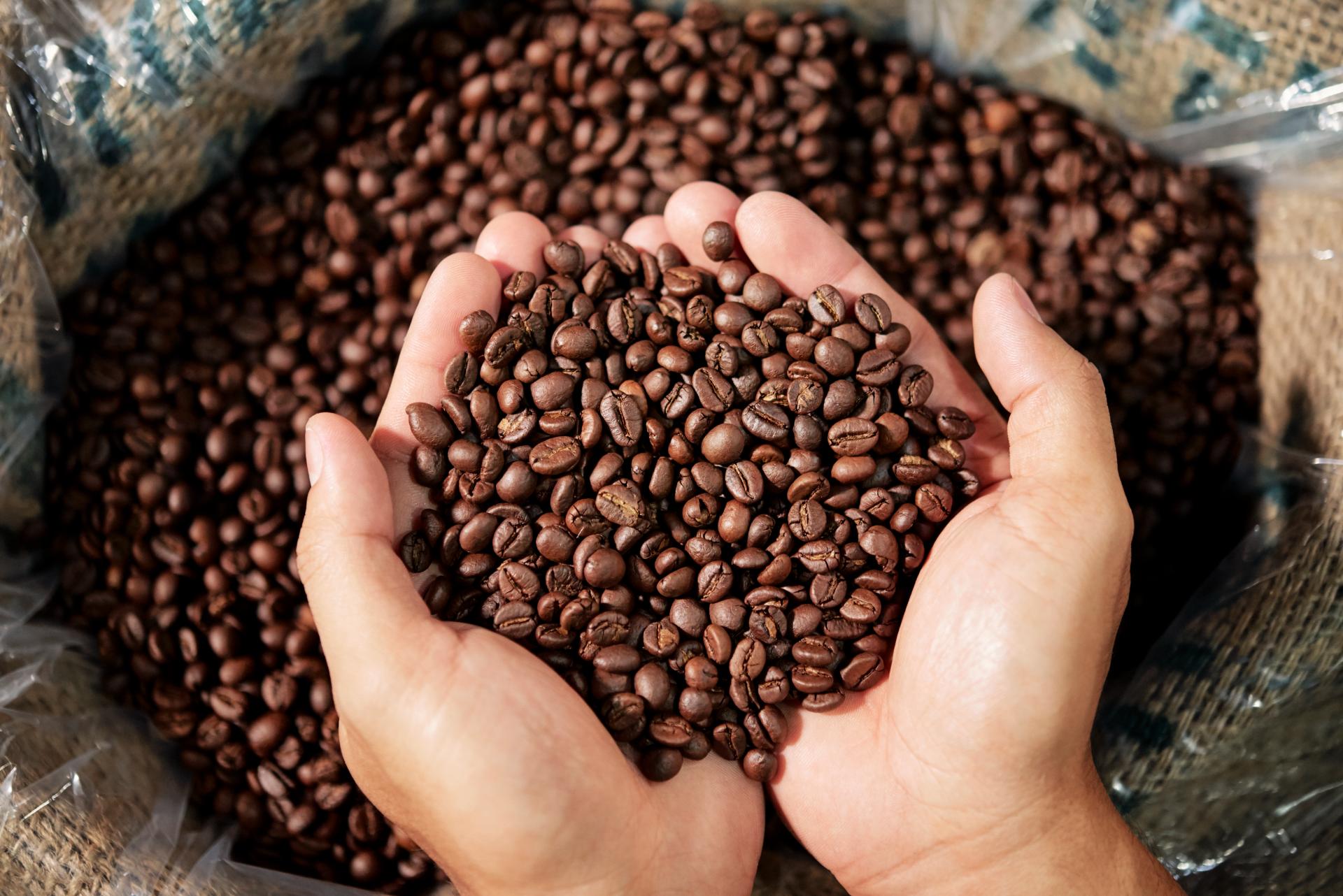 The Incredible Journey of a Coffee Bean: From Tree to Cup